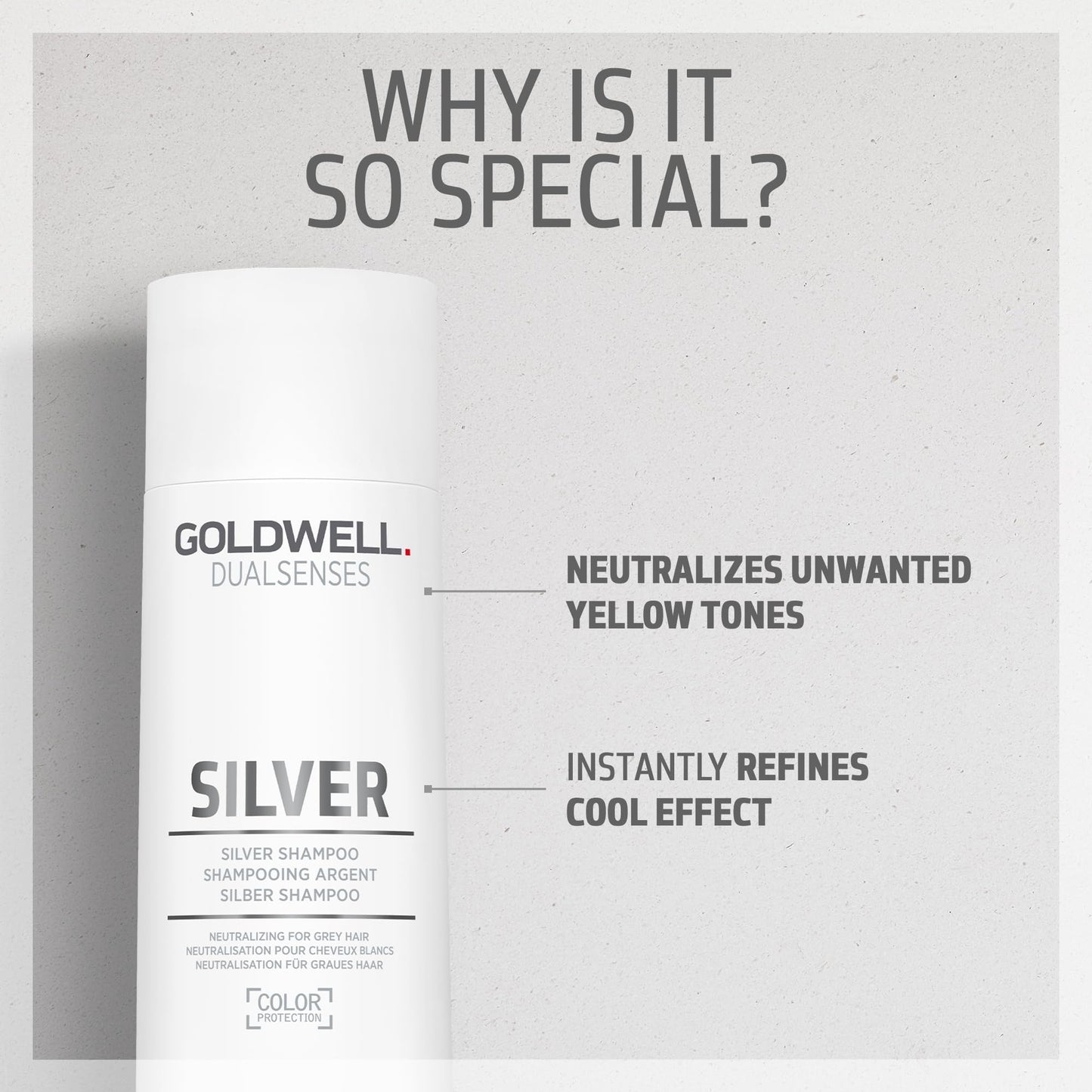 Goldwell Dualsenses Silver Shampoo 300mL