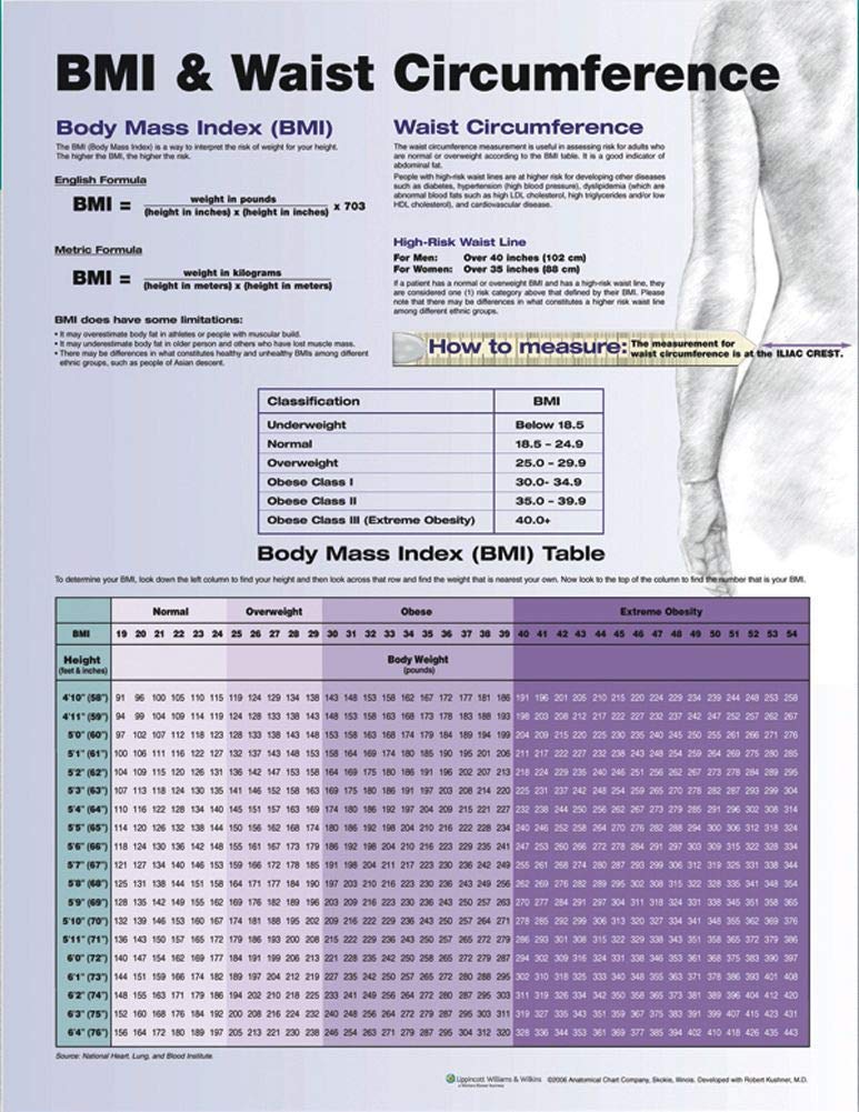 BMI and Waist Circumference