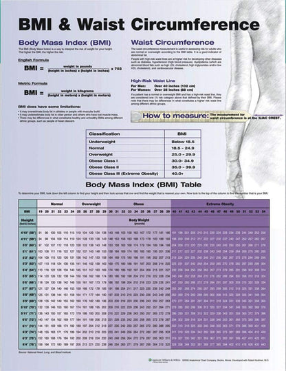 BMI and Waist Circumference