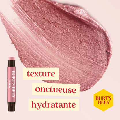 Burts Bees Kissable Color Warm Gift Set, 1 EA