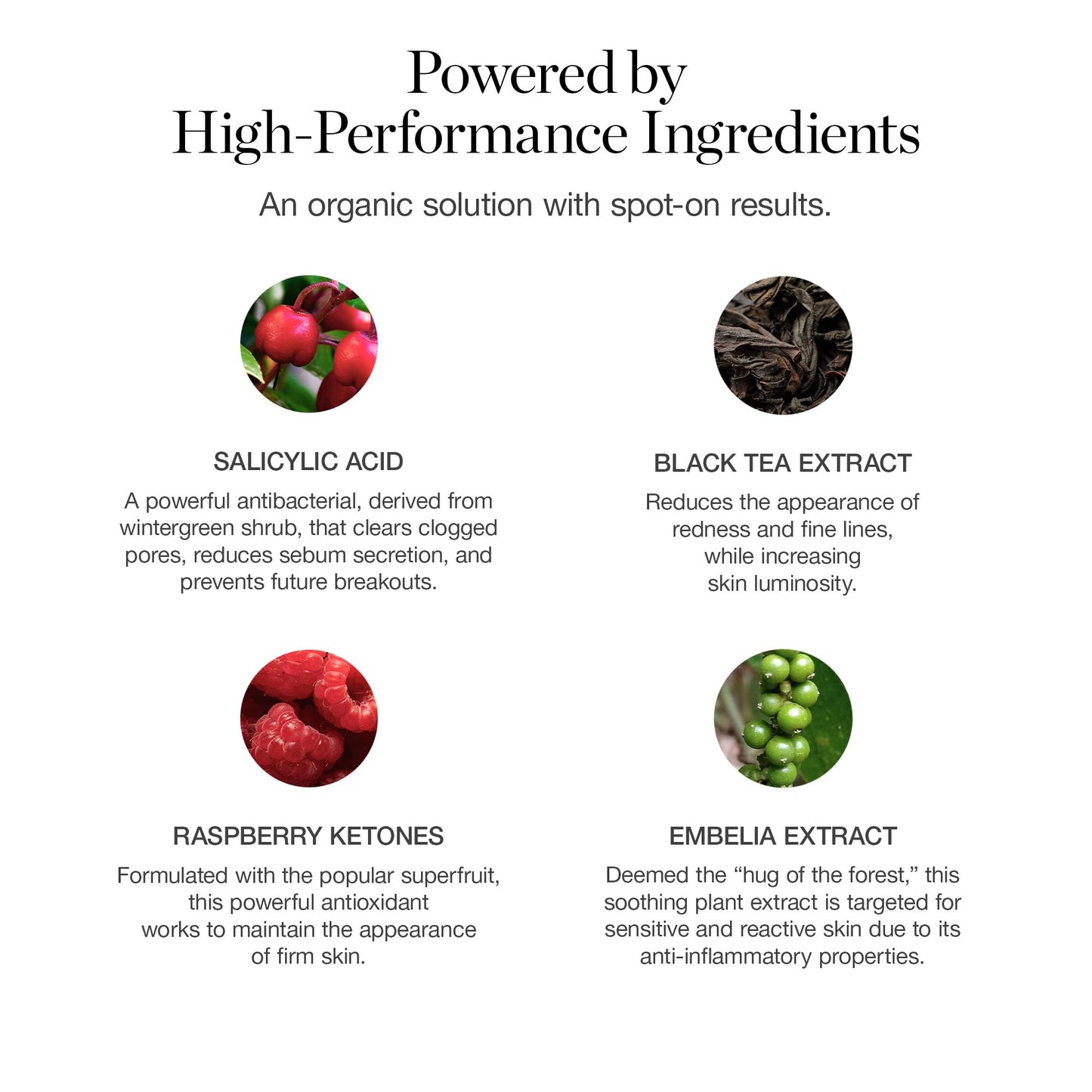 Ogee Plant-Based Acne Treatment for Face with Salicylic Acid - Targeted Acne Spot Treatment with Soothing Ceramic Application Tip