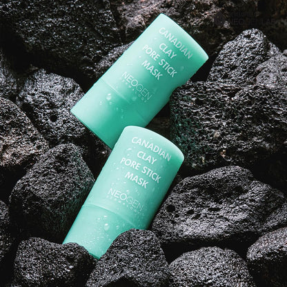 DERMALOGY by NEOGENLAB Canadian Clay Pore Stick Mask, 28g (0.99 oz) – Minimizes Pores, Removes Blackheads & Excess Sebum, Glacial Mud & Colloidal Clay, Korean Skincare