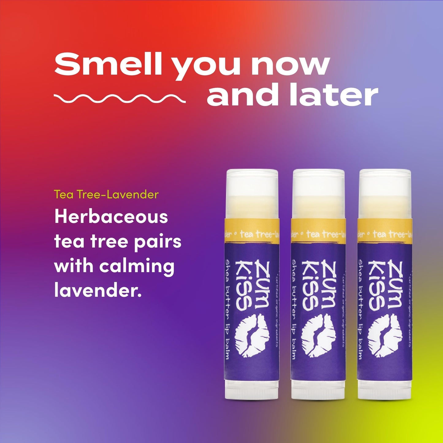 Indigo Wild Zum Kiss Stick - Natural Lip Balm with Organic Beeswax, Sunflower Oil & Vitamin E - Flavored, Hydrating Lip Moisturizer - Tea Tree & Lavender (3 Pack)