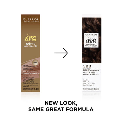 Clairol Professional Hair Coloring Developers for Hair Color Lightening & Lifting