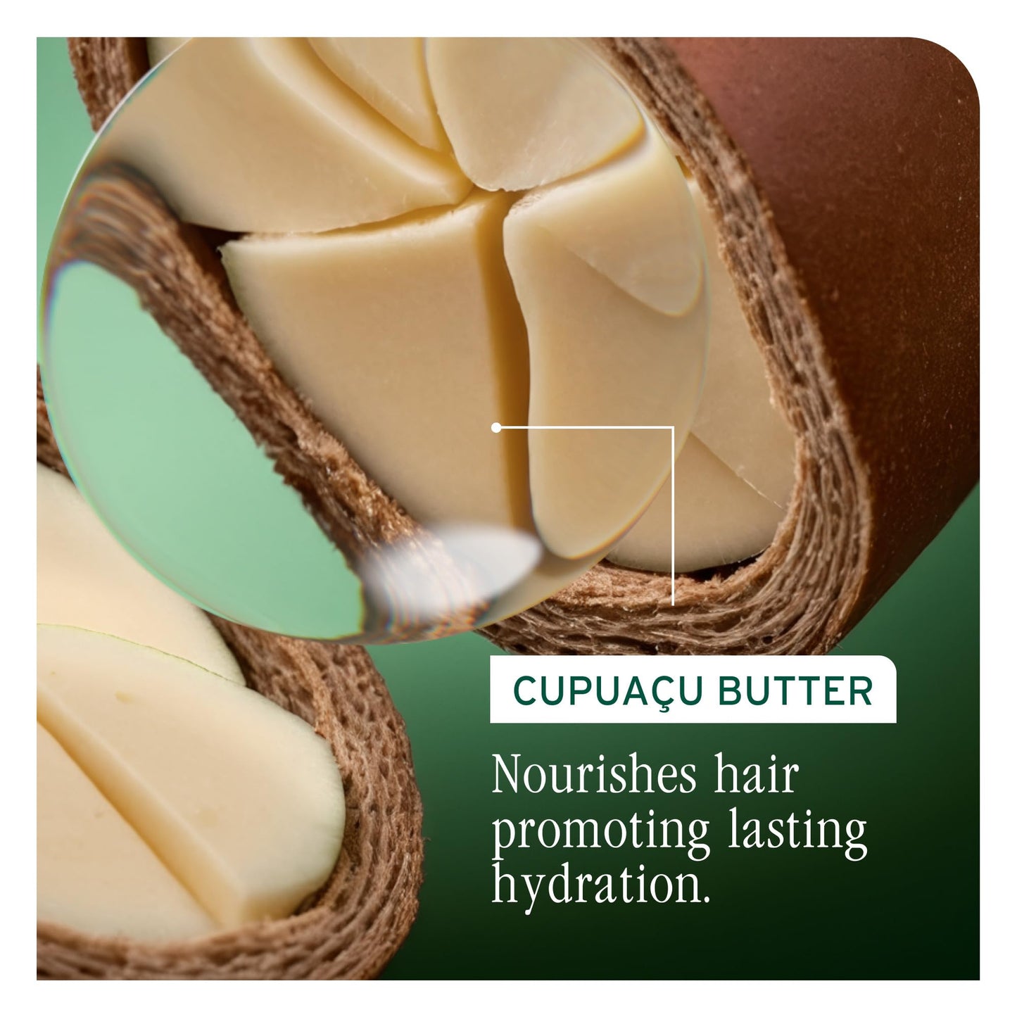 Biolage Ultra Hydra Source Leave-In Cream - Moisturizes & Controls Frizz, For Very Dry, Thick, Hair, Infused with Micro-dosed with Cupuaçu Butter & Salicylic Acid