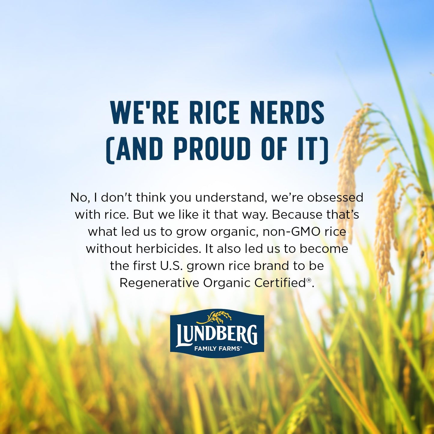 Lundberg Organic Basmati, Long-Grain Brown Rice – Non-Sticky, Fluffy & Aromatic, 32 Oz