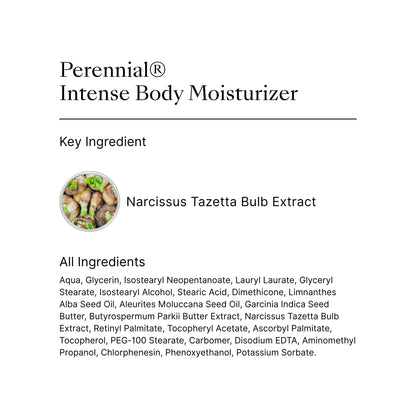 Nu Skin Perennial Intense Body Moisturizer | Hydrating Lotion for Softer, Supple Skin | Supports Skin Barrier & Resilience | Lightweight Daily Formula with Plant-Based Ingredients | 8.4 fl oz