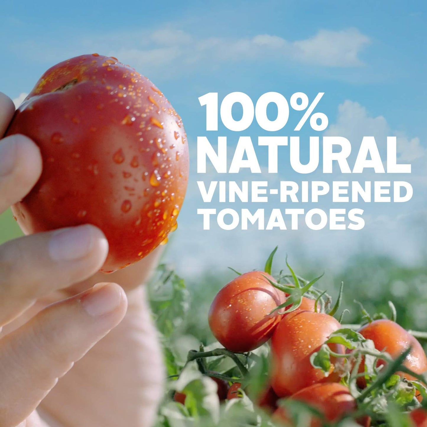 Hunt’s Tomato Sauce with Roasted Garlic, Perfect for Chili & Soups, 8 oz. Can