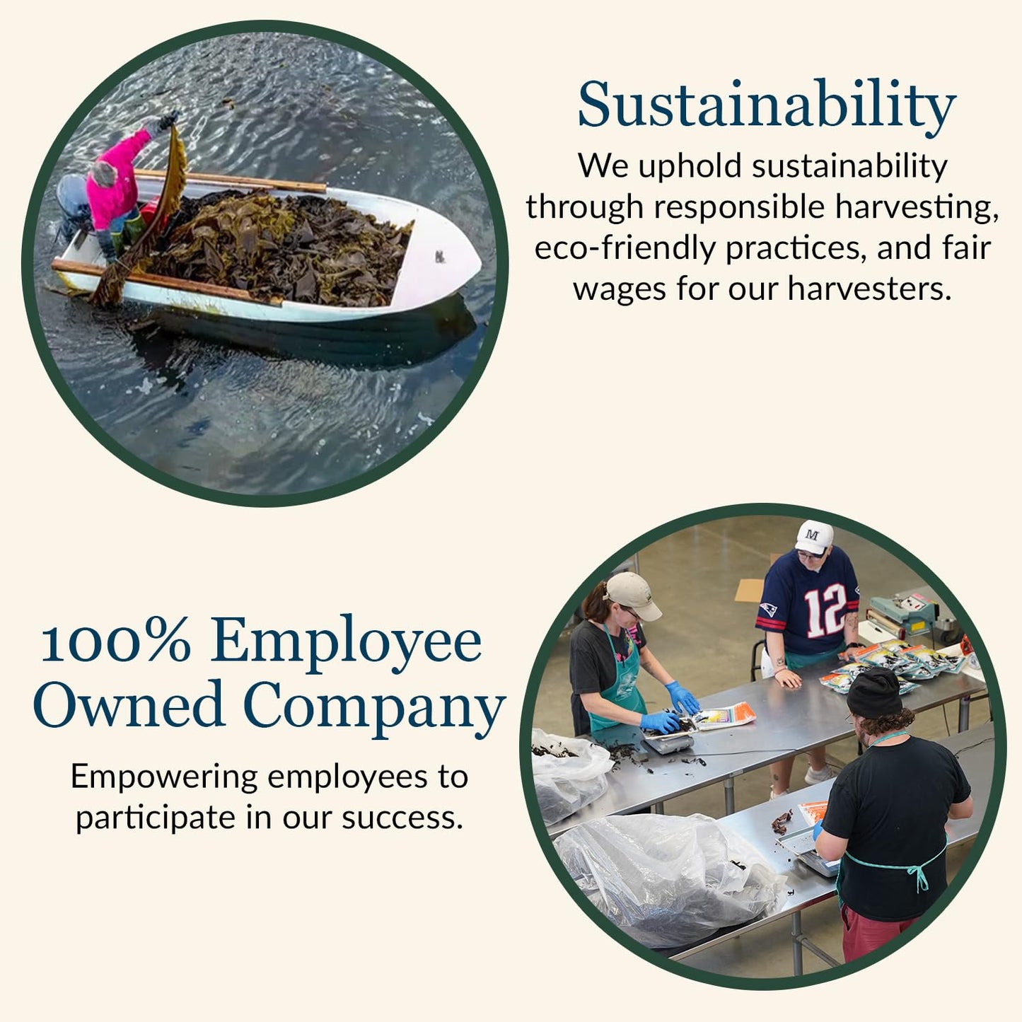 Maine Coast Sea Vegetables Organic Smoked Dulse Whole Leaf Bag | Nutritious Food & Seaweed Snacks | Good Source of Iodine & Minerals | North Atlantic Harvest | Great for Salad, Soup, Sandwiches | 2 oz
