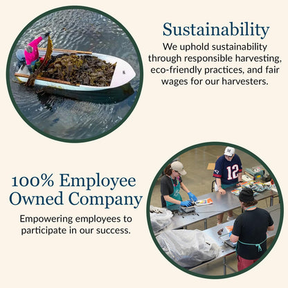 Maine Coast Sea Vegetables Organic Smoked Dulse Whole Leaf Bag | Nutritious Food & Seaweed Snacks | Good Source of Iodine & Minerals | North Atlantic Harvest | Great for Salad, Soup, Sandwiches | 2 oz
