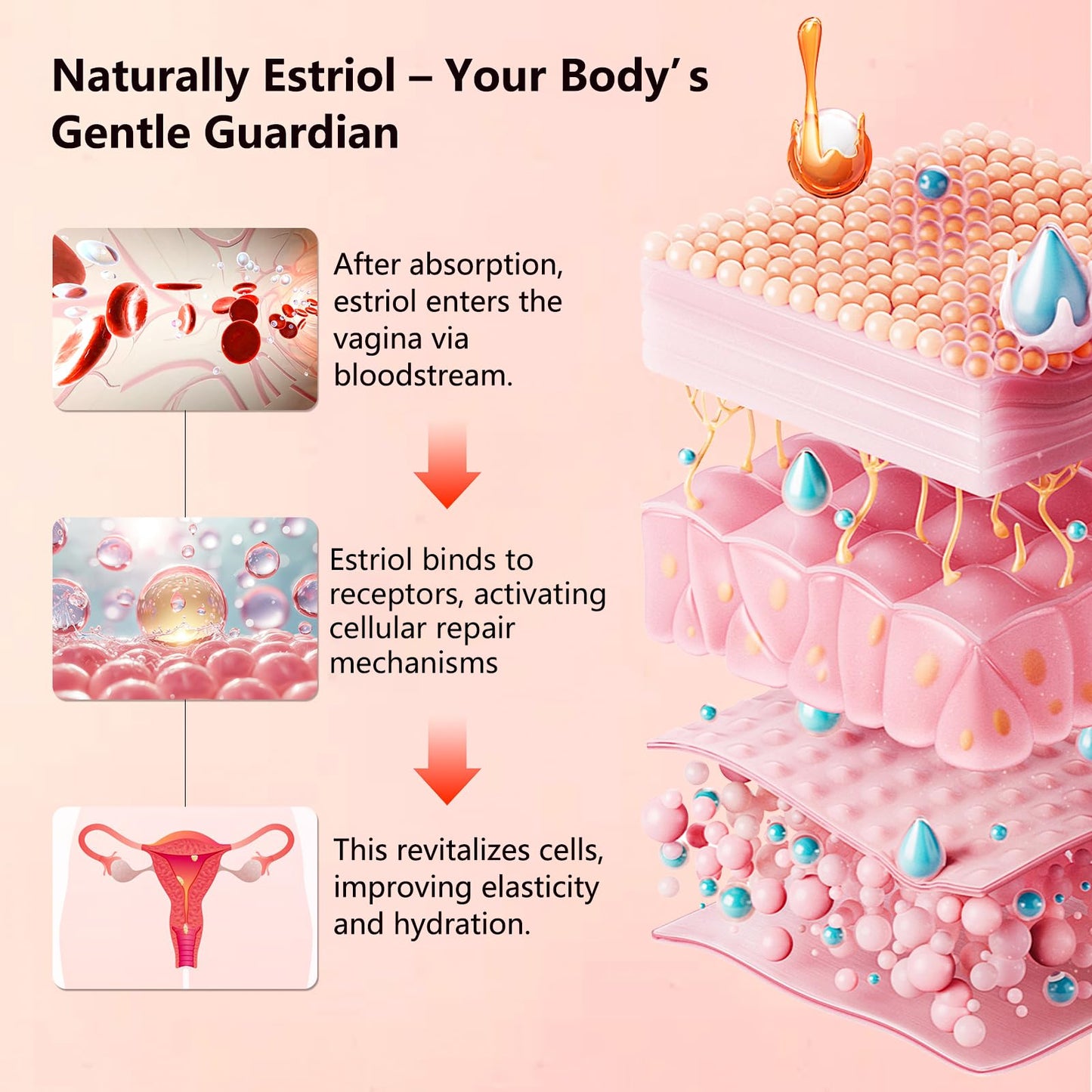 Estriol Peach Cream for Women's - Menopausal Hormone Balance Natural Bioidentical Estrogen Silky Cream for Relief Menopausal Vaginal Dryness & Vulva Itch 1 fl. oz(2 Month Supply)