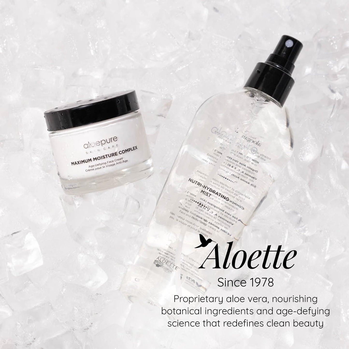 Aloette Maximum Moisture Anti-Aging Face Cream - Age Defying Anti-Wrinkle Facial Cream with Moisturizing Shea Butter & Aloe Vera - Hydrating Moisturizer for Fine Lines & Wrinkles - All Skin Types