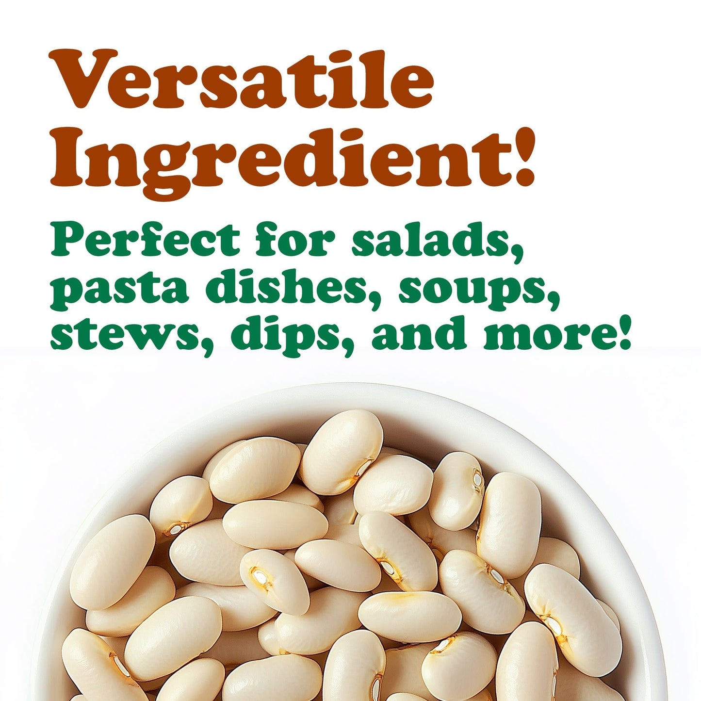 Food to Live Organic Italian Canned Cannellini Beans, 14 oz (Pack of 4) - Unsalted Non-GMO White Kidney Beans. Good Source of Fiber and Protein