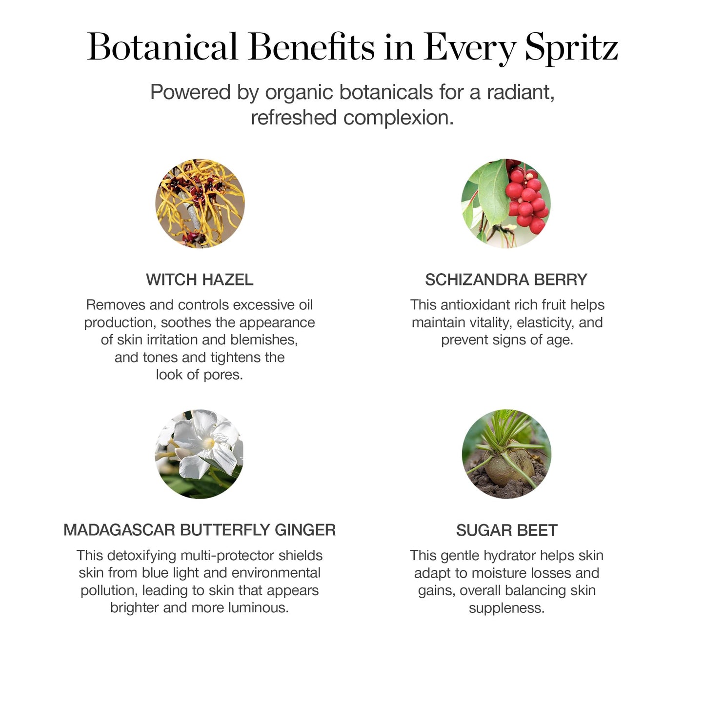 Ogee Rose Botanical Face Mist – Hydrating Organic Vegan Facial Mist, 90ml