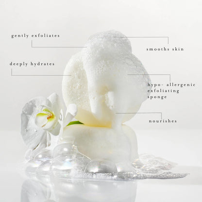 kai Body Buffer – 2 Count exfoliating Bath sponges with Built-in Cleanser, Gardenia Scent, Vegan & Cruelty-Free | Gently exfoliates & cleanses | Made in The USA