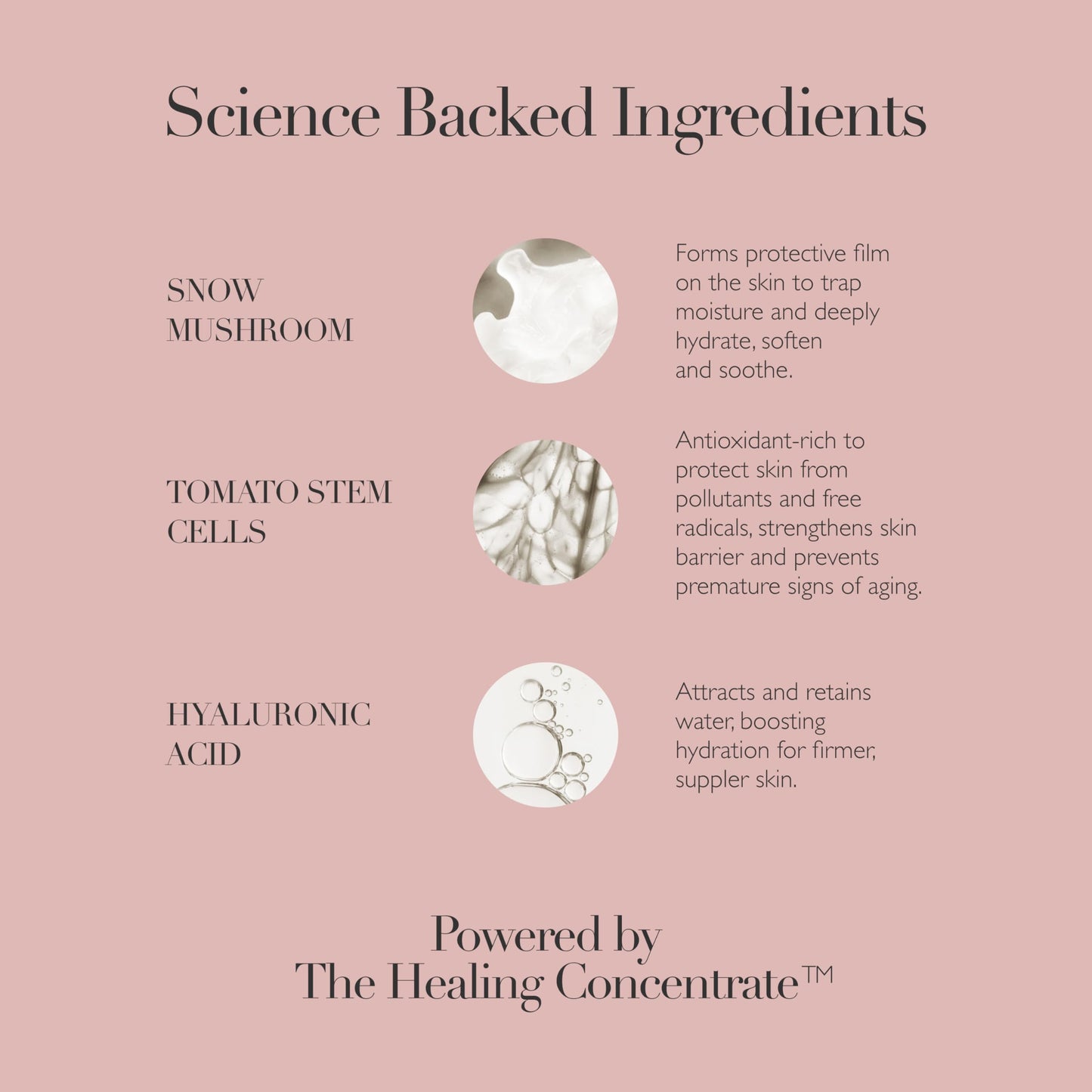 Omorovicza Queen Essence (3.4 oz), Hydrating Face Mist, Pre-Serum Skin Booster with Snow Mushroom, Tomato Stem Cells & Hyaluronic Acid to Plump, Protect & Prep Skin