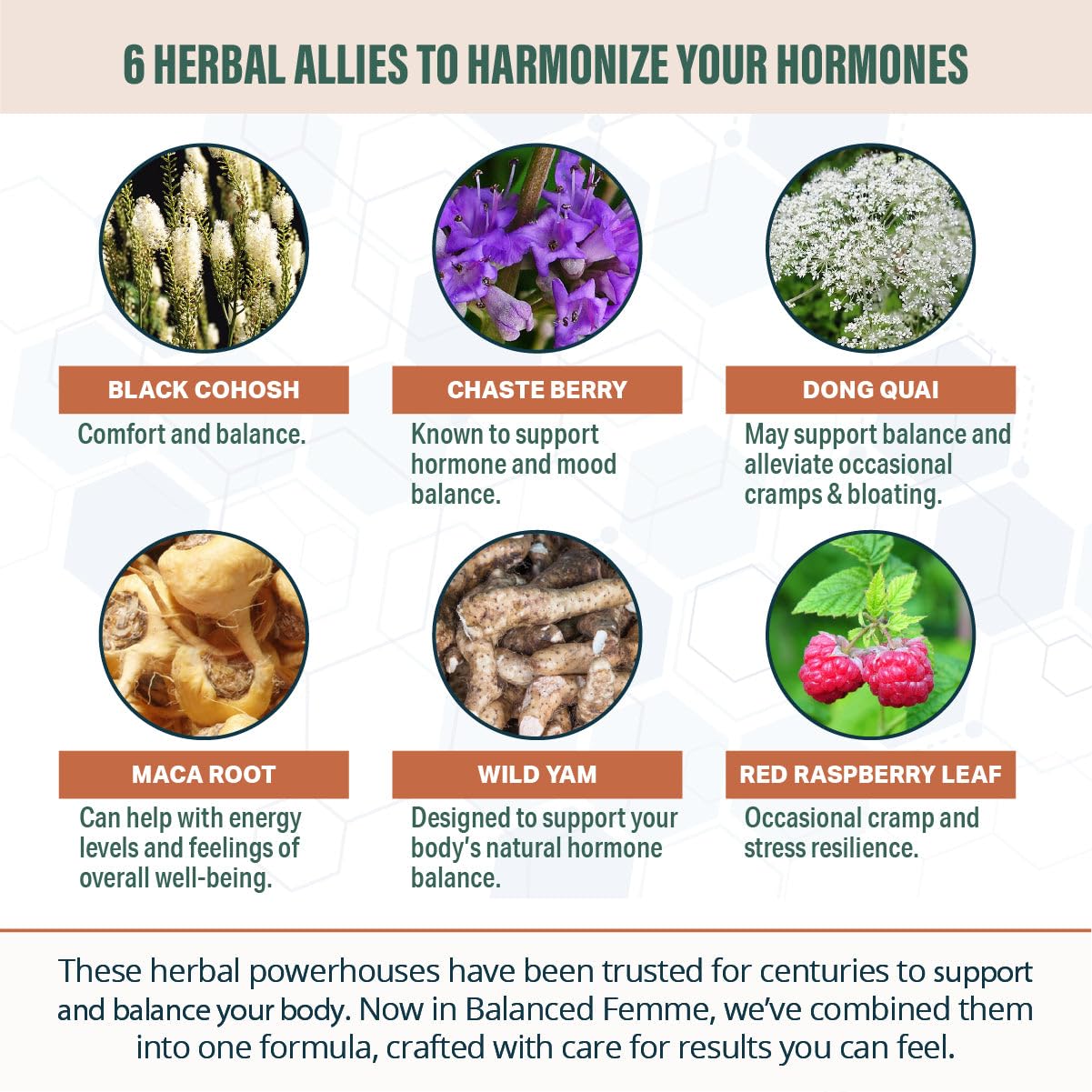 Rejuvica Health Balanced Femme - Menopause Support for Hot Flashes & Female Balance - Liquid Delivery for Better Absorption - Black Cohosh, Dong Quai, Vitex, Maca Root & More!