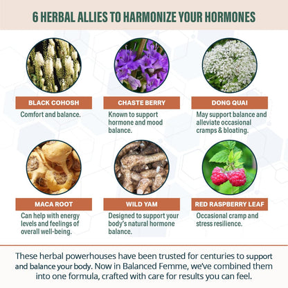 Rejuvica Health Balanced Femme - Menopause Support for Hot Flashes & Female Balance - Liquid Delivery for Better Absorption - Black Cohosh, Dong Quai, Vitex, Maca Root & More!