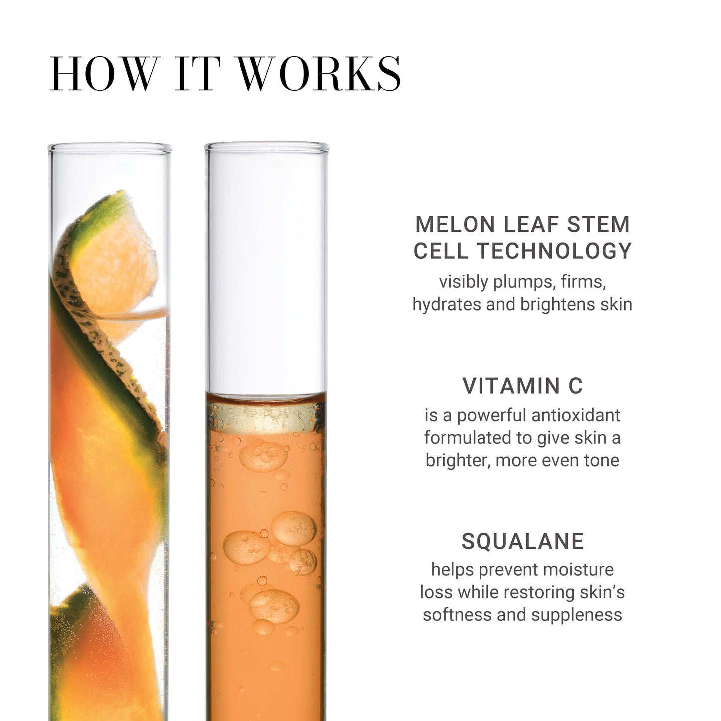 Meaningful Beauty Vitamin C Bi-Phase Brightening Oil with Activated C Technology