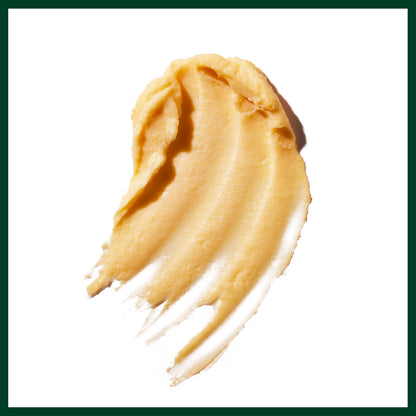 Aveda Control Paste Hair Pomade