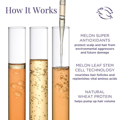Meaningful Beauty Deluxe Age-Proof Haircare System Full Size- Nourishes Scalp, Thickens & Strengthens Hair