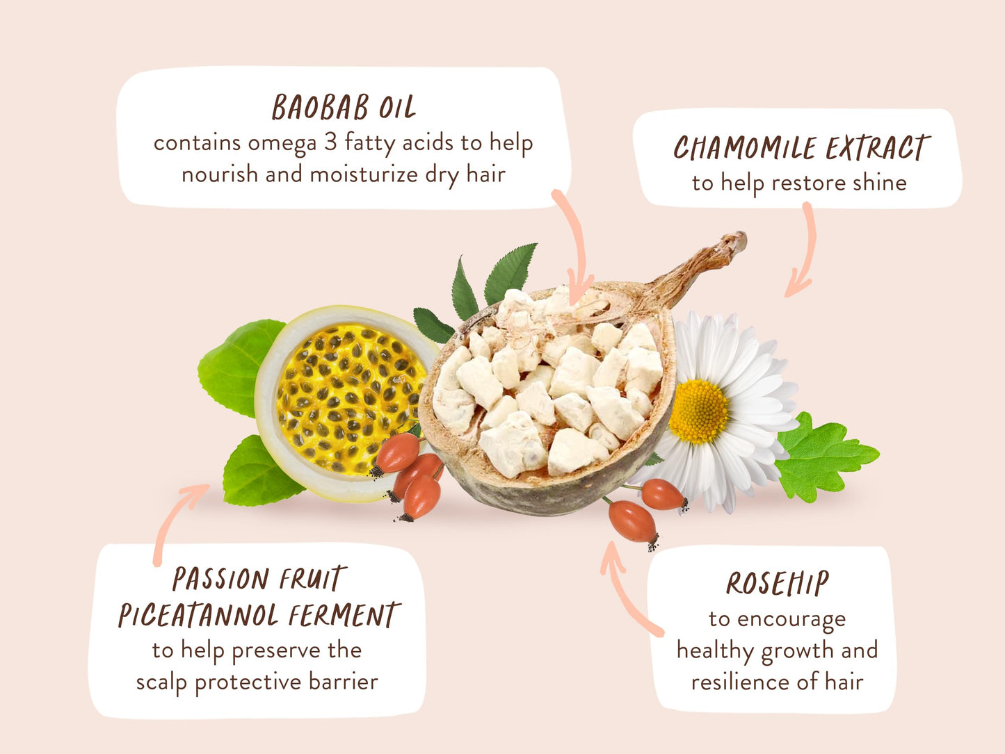 Babo Botanicals Defining Baobab & Rosehip Shampoo + Bundle with Conditioner – For extra dry, curly hair – Smooth & Define – Passion Fruit Ferment for scalp
