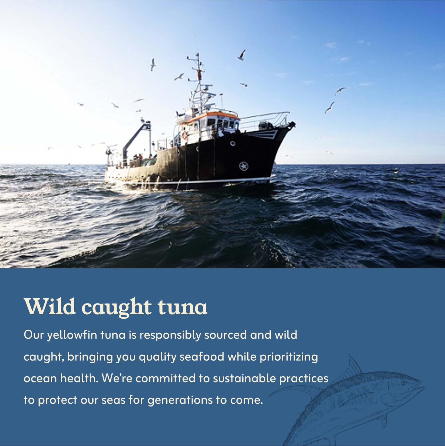 Van Camp's Seafood Solid Light Yellowfin Tuna in Water, 5 oz. Can (Pack of 48), Wild Caught Canned Tuna