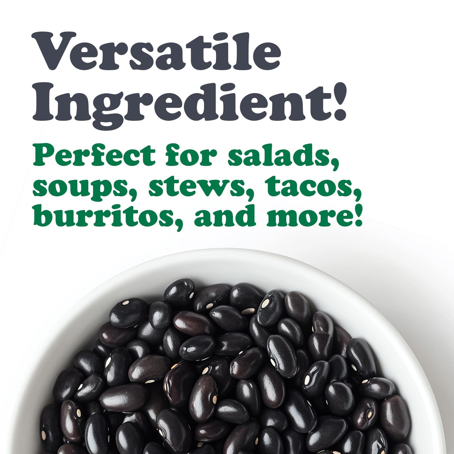 Food to Live Organic Canned Black Beans, 14 oz (Pack of 4) - Unsalted Non-GMO Frijoles Negro. Perfect for Salads, Soups, Stews. Vegan. Made in Italy