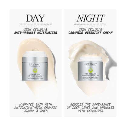 Juice Beauty Stem Cellular Anti-Wrinkle Ceramide Overnight Cream - 50 mL - Reduces Look of Deep Lines + Wrinkles - Vegan, Cruelty Free