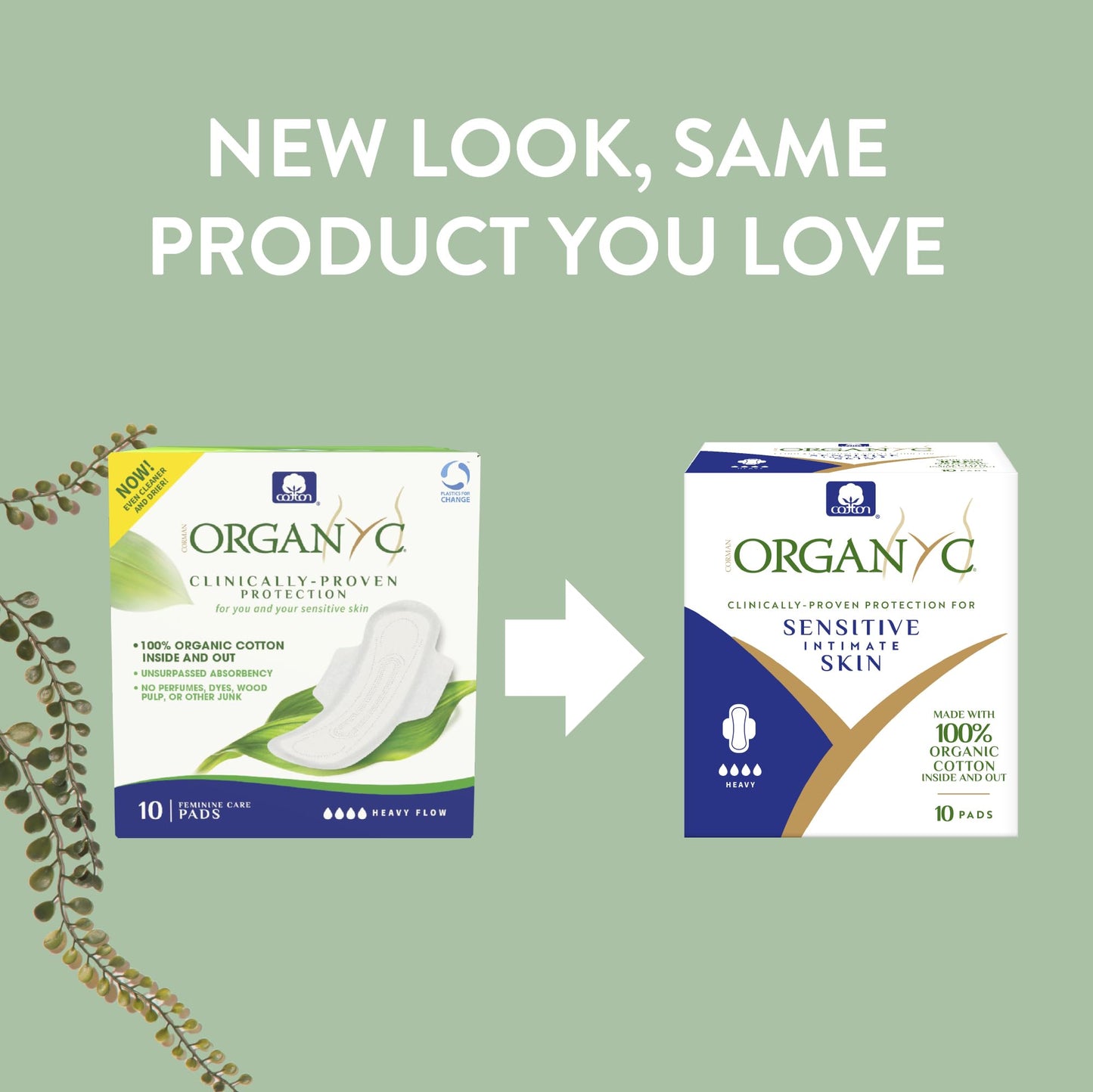 Organyc 100% Certified Organic Cotton Inside and Out Feminine Pads, Sanitary Napkin, Heavy Flow, 10 Count