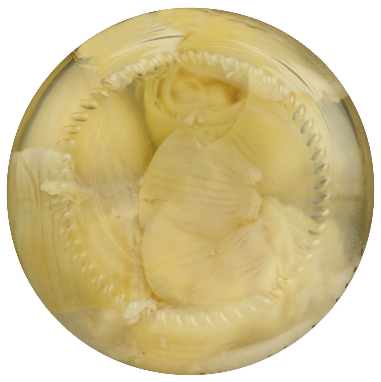 NATIVE FOREST Whole Artichoke Hearts, 9.9 OZ