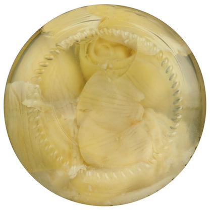 NATIVE FOREST Whole Artichoke Hearts, 9.9 OZ
