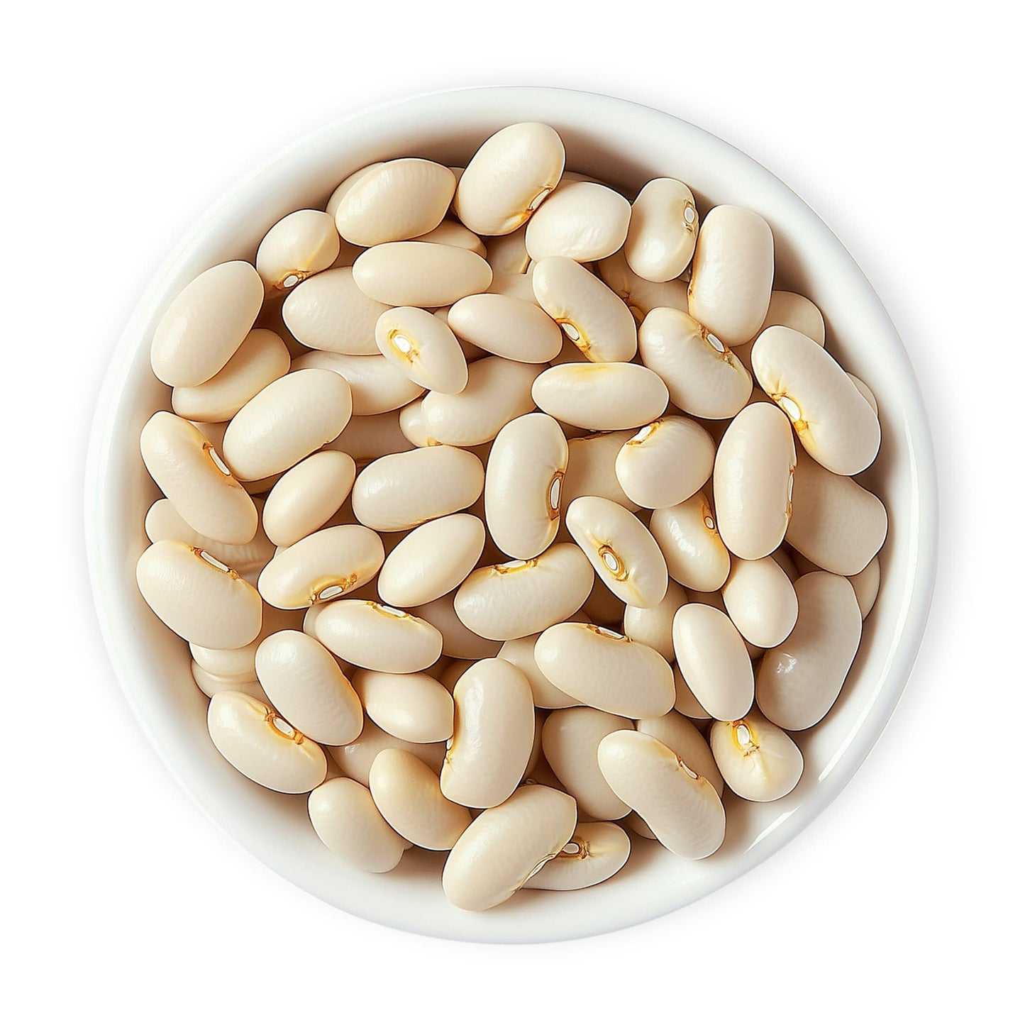 Food to Live Organic Italian Canned Cannellini Beans, 14 oz (Pack of 4) - Unsalted Non-GMO White Kidney Beans. Good Source of Fiber and Protein