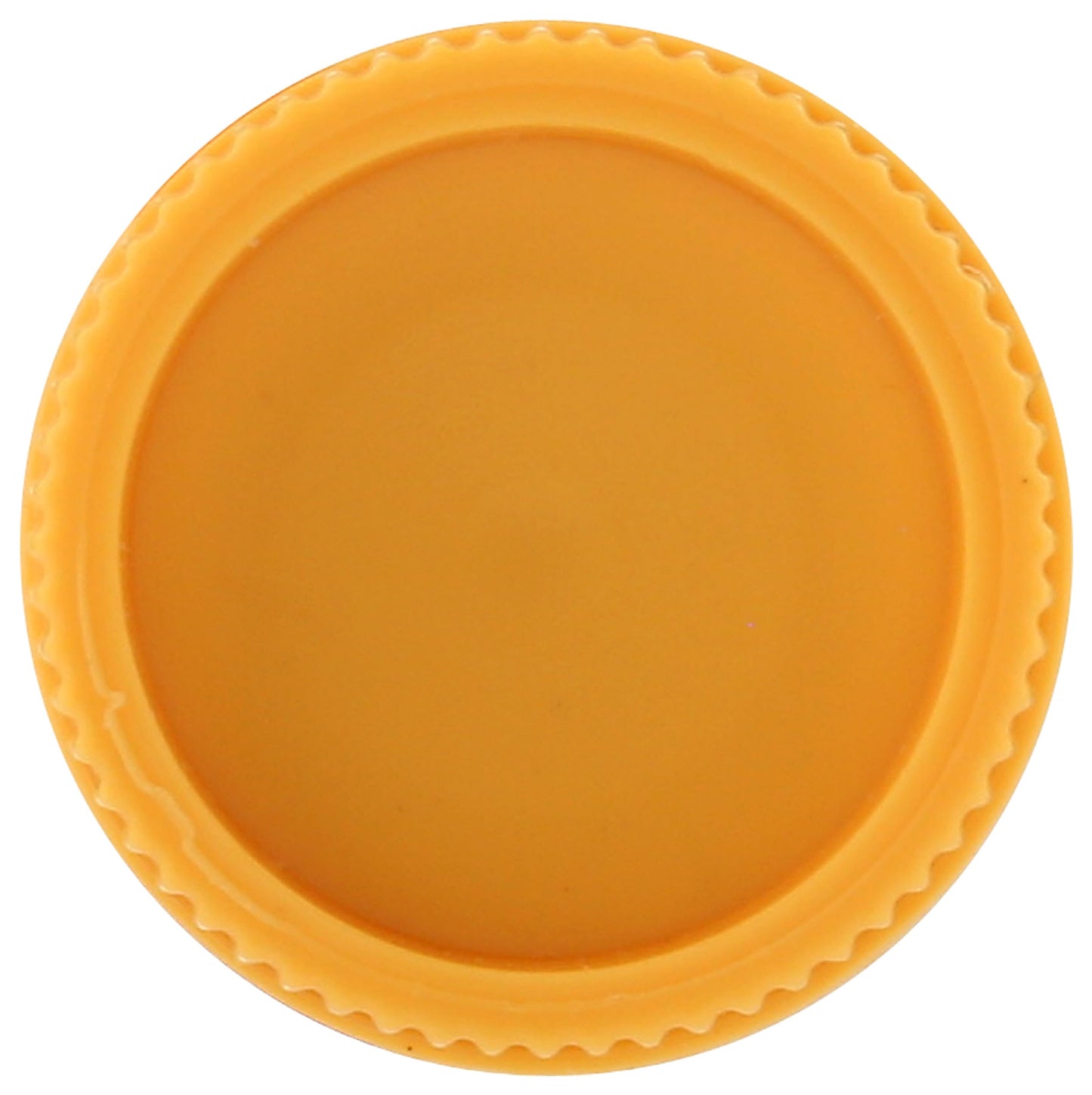 BURTS BEES Berry Agua Fresca Lip Balm, 0.15 OZ