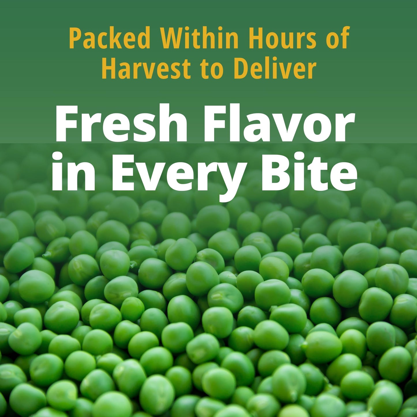 Del Monte Canned Sweet Peas with 50% Less Sodium, 15 Ounce (Pack of 12)