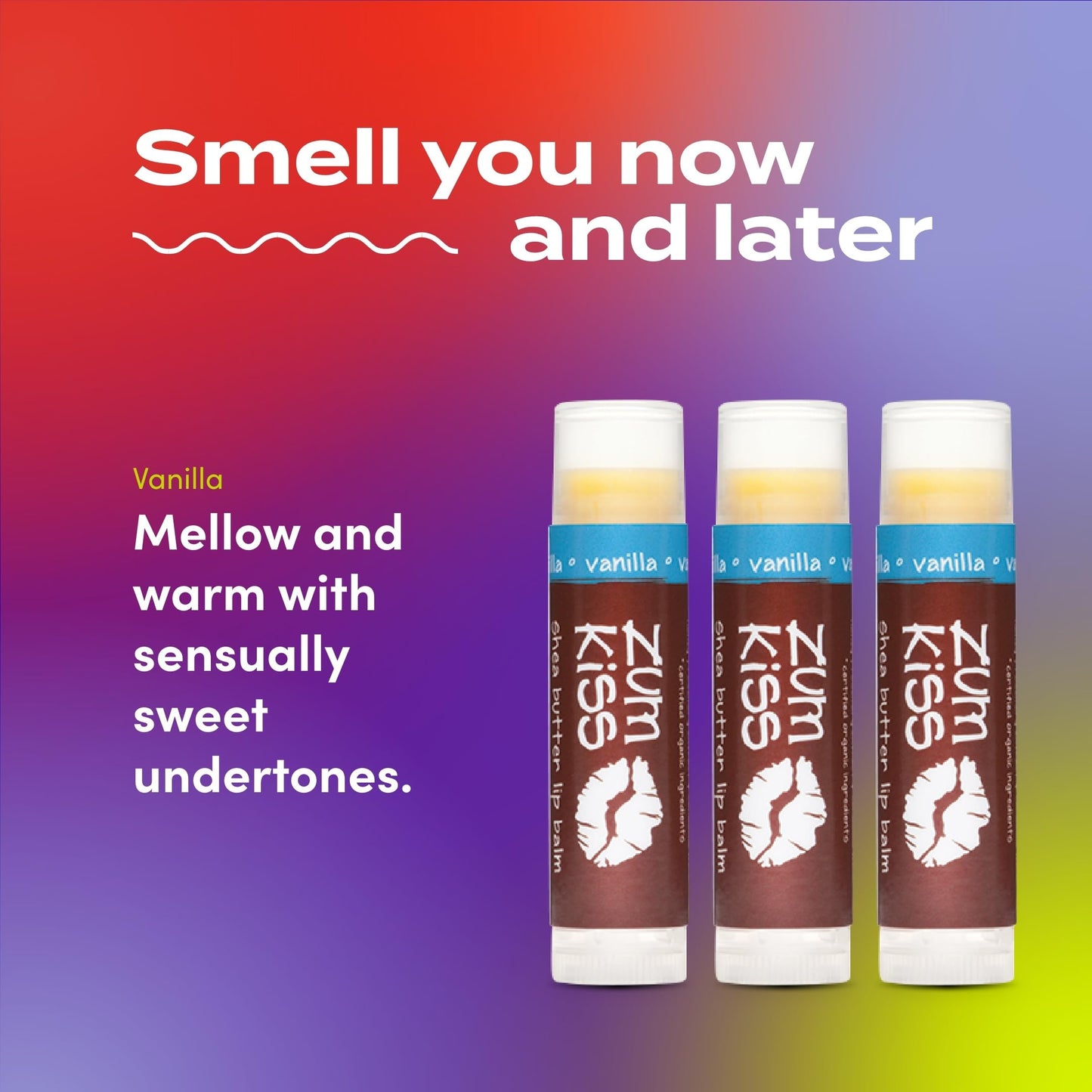 Indigo Wild Zum Kiss Stick - Natural Lip Balm with Organic Beeswax, Sunflower Oil & Vitamin E - Flavored, Hydrating Lip Moisturizer - Vanilla (3 Pack)