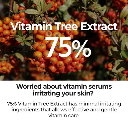 numbuzin No.5 Serum | Goodbye Blemish Serum | for Acne Scars with Vitamin C, Niacinamide, Antioxidant | Lightweight Gel, Korean Skincare for Face | 1.69 fl. oz.