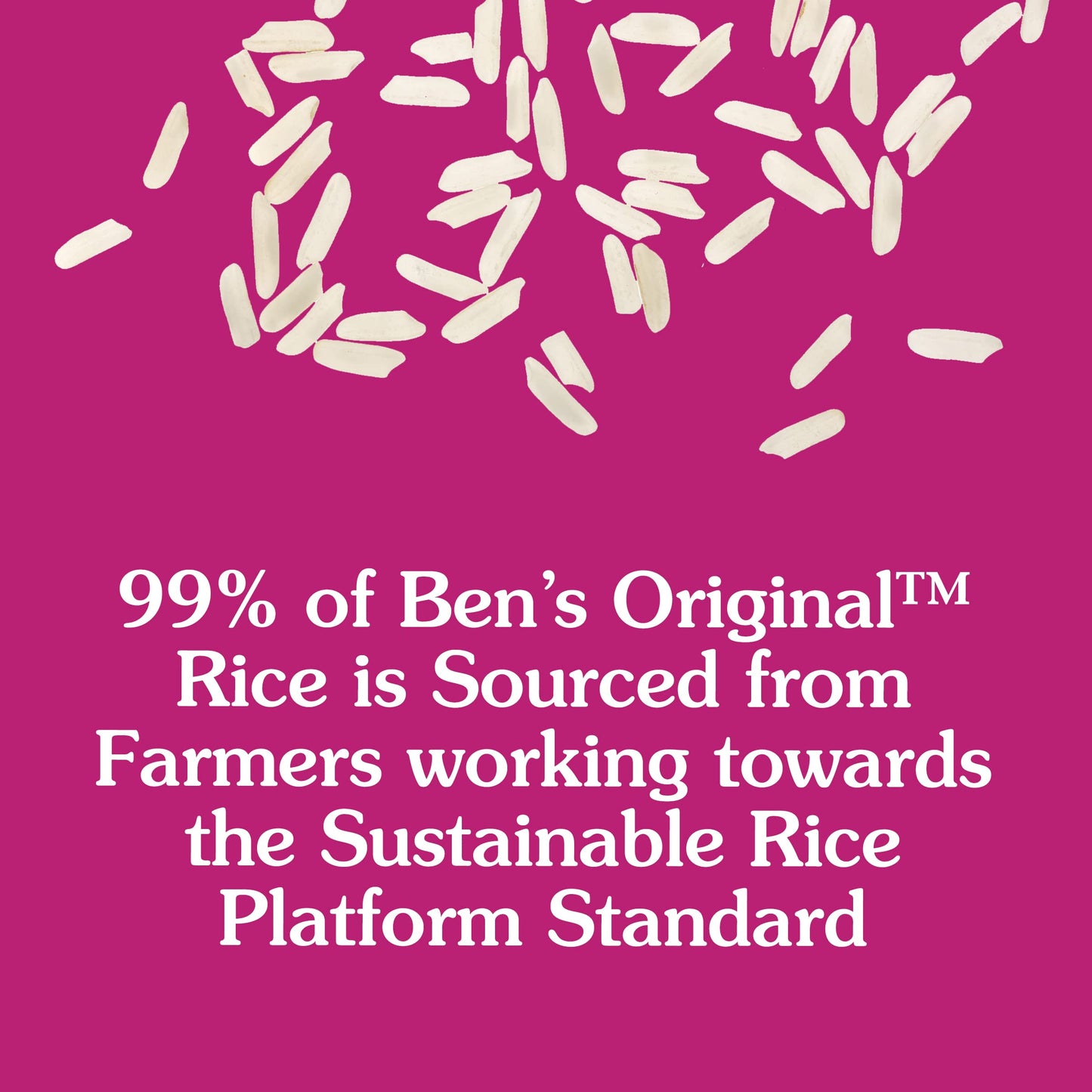 BEN'S ORIGINAL Ready Rice Rice Pilaf Flavored Rice, Easy Dinner Side, 8.8 oz Pouch (Pack of 12)