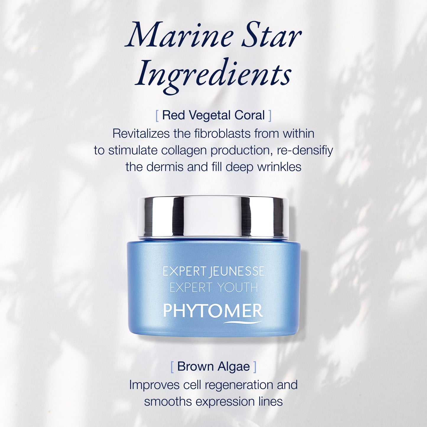 Phytomer Expert Youth Wrinkle Plumping Face Cream | Hydrating Anti-Wrinkle Cream for Smooth Skin Renewal | 96% Natural Origin Ingredients | 50ml