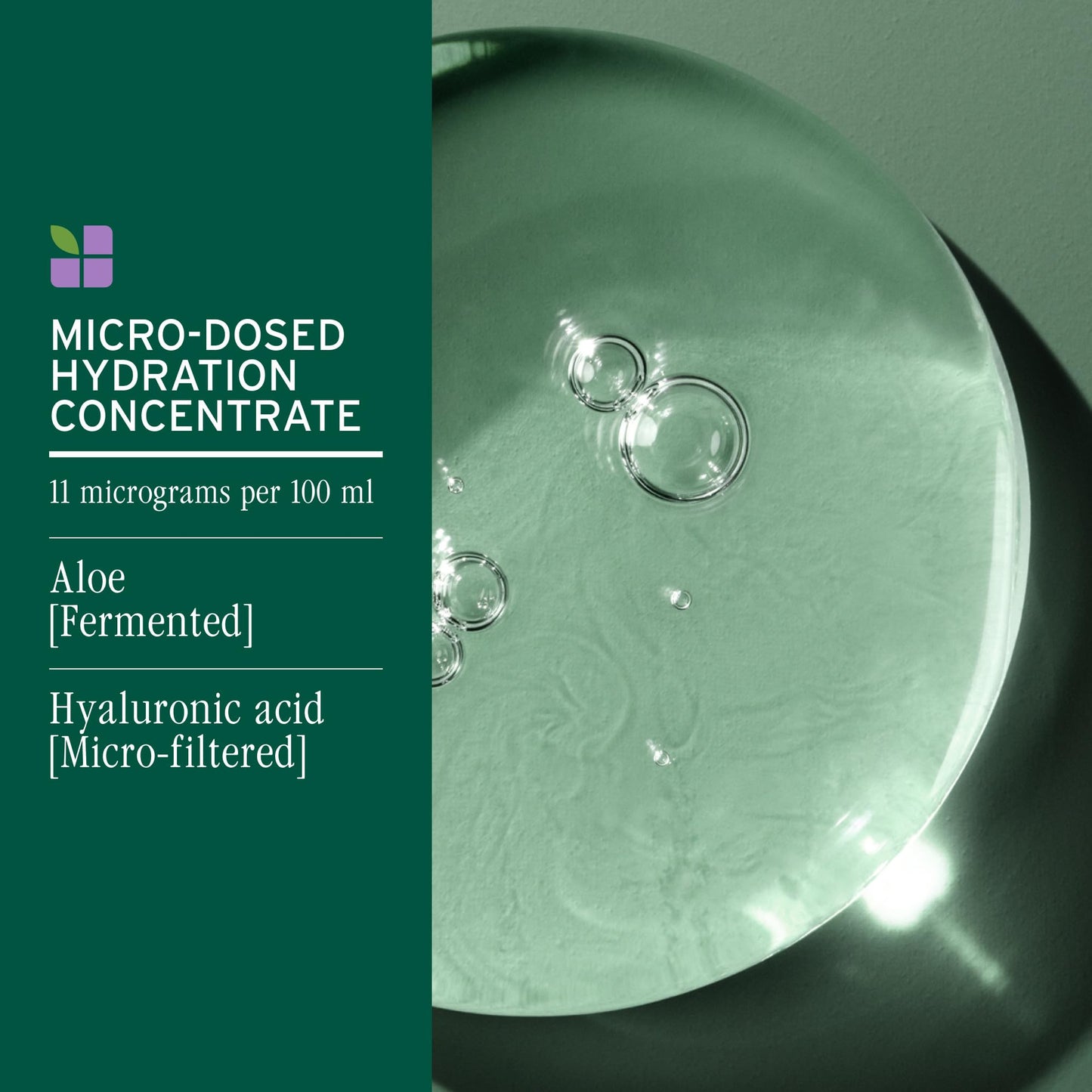 BIOLAGE Hydra Source Detangling Solution - For Dry Hair, Detangles & Controls Static For Less Frizz & Fly-Aways, Paraben-Free