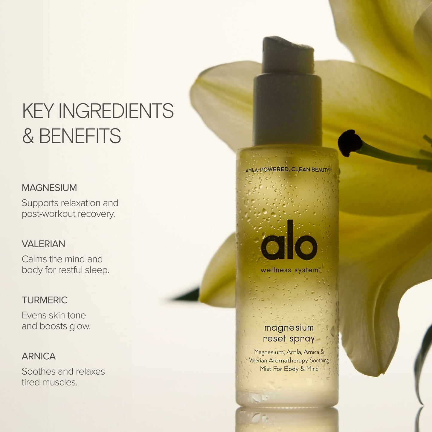 ALO Refresh & Reset Set | Magnesium Reset Spray + Mega-C Body Wash + Superfruit Body Lotion | Gentle for All Skin Types | Vegan & Cruelty-Free | 3.2 + 6.7 + 6.7 fl oz (Pack of 3)
