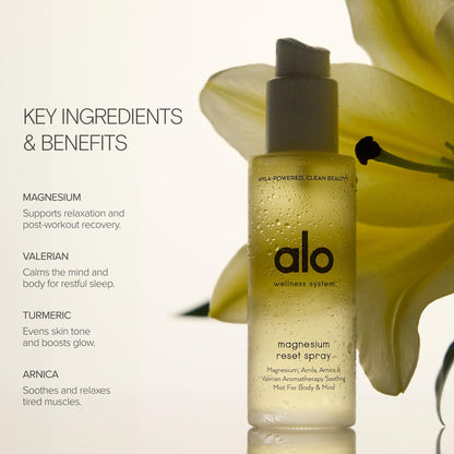 ALO Refresh & Reset Set | Magnesium Reset Spray + Mega-C Body Wash + Superfruit Body Lotion | Gentle for All Skin Types | Vegan & Cruelty-Free | 3.2 + 6.7 + 6.7 fl oz (Pack of 3)