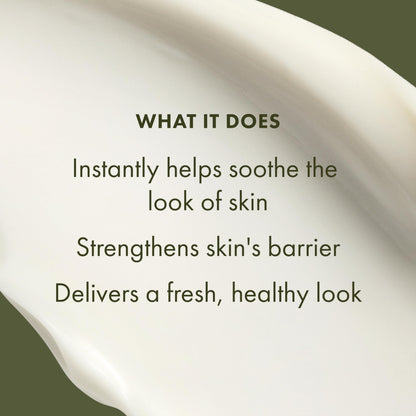 Origins Mega-Mushroom Soothing Cream | Visibly Soothes Skin | With Reishi Mushroom, 1.7 Fl Oz
