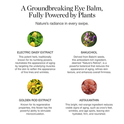 Ogee Botanical Eye Balm - Certified Organic Brightening Eye Cream for Dark Circles and Puffinesss - Made with Natural Retinol Alternative & Hyaluronic Acid
