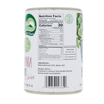 Nature's Charm Banana Blossom in Brine 18oz (pack of 6)