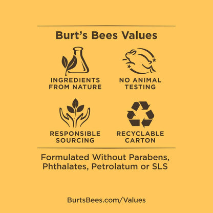 Burt's Bees 100% Natural Moisturizing Lip Balm, Coconut & Pear and Mango with Beeswax & Fruit Extracts - 2 Tubes, 2 Fl OZ