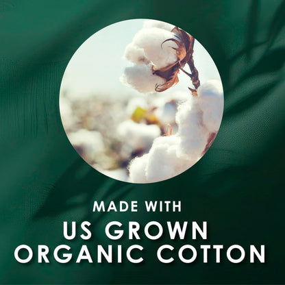 L. Cotton Tampons Light/Regular Absorbency Multipack, Contains an Organic Cotton Core, Made Without Synthetic Pesticides, or Fragrances, 84 Count (2 Packs of 42)
