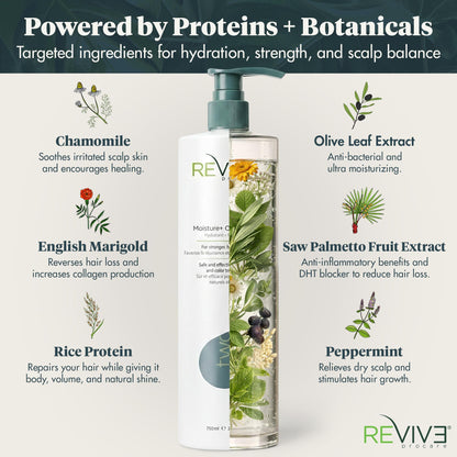 Reviv3 Procare Prime Moisture & Hair Conditioner – Color Safe Conditioner for Healthy Scalp – Volumizing Conditioner Reduces Breakage & Control Fizziness – Hair Care Products for Women (25.4 oz)