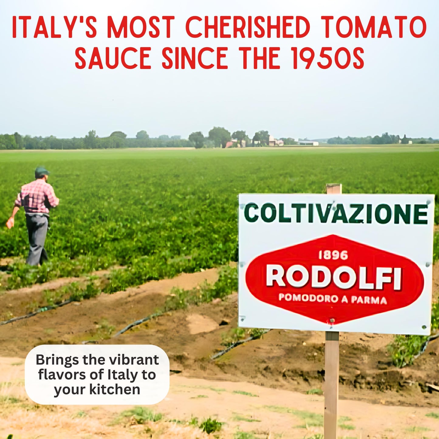 Tomato Paste Tube "Ortolina" Rodolfi Sauce, 130 gr (4.5 Oz) - Pack of 2, Authentic Italian Product with Fresh Tomatoes and Vegetables, Imported from Italy, Additive-free