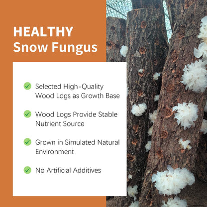 Wanhua Hall Broken Snow Fungus Dried White Fungus Slices Mushroom Woodear Mushroom Premium All Natural Vegan and Gluten-Free 3.5oz(100g) 银耳片 银耳碎 椴木银耳